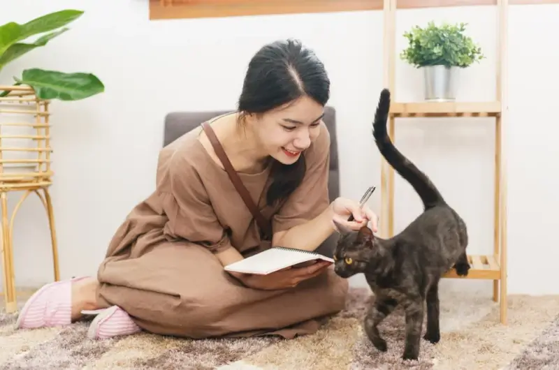 An Indian woman siting on the ground with a dark gray cat approaching her